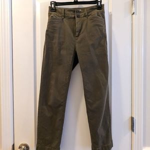 Petite Loft Outlet Straight Pants Army Green 00p